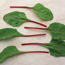 Fire Fresh, (F1) Swiss Chard Seeds - Packet thumbnail number null